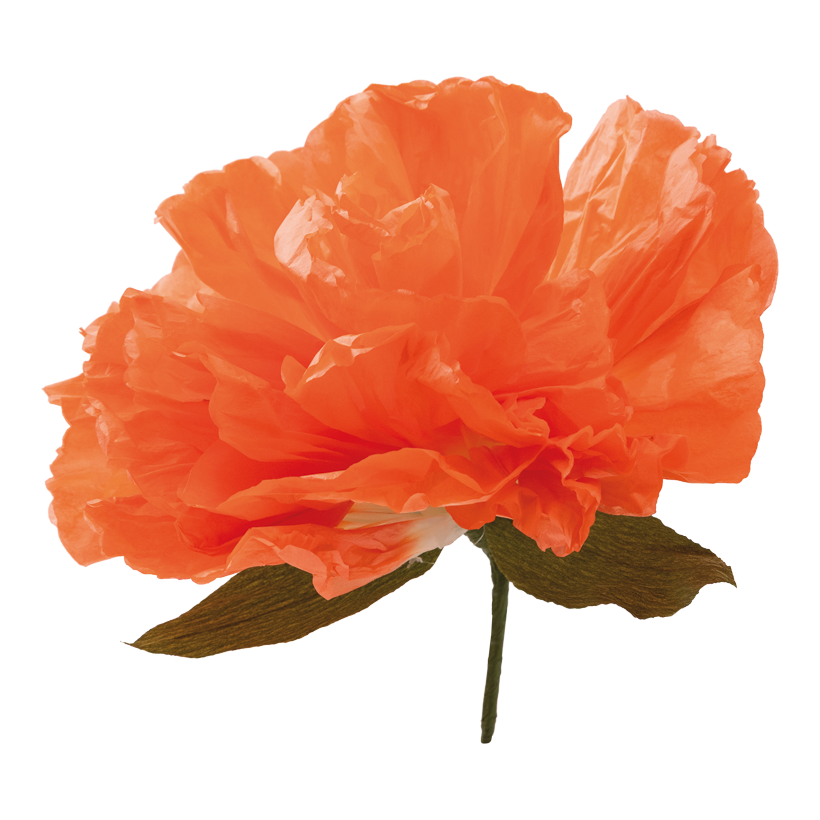 Blomhuvud Ø 35cm Stiel: 11cm av papper flexibel