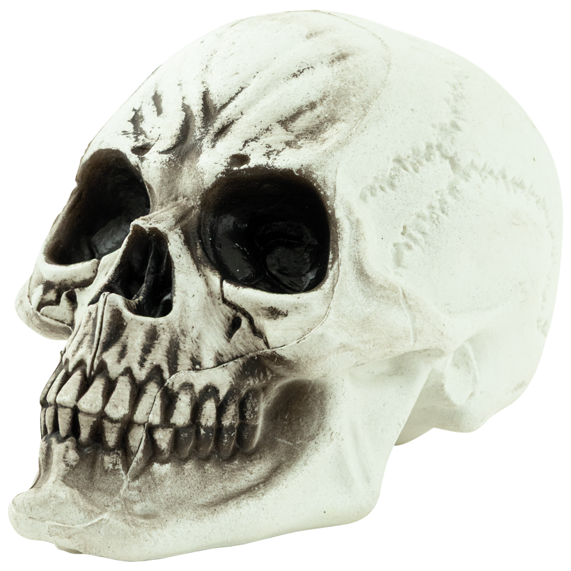 Skeletthuvud, 18x16x24cm av plast