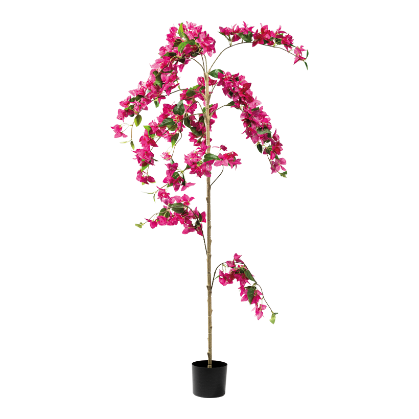 Bougainvillea träd 160cm Topf: Ø 15cm 3-sidig av plast/konstsilke