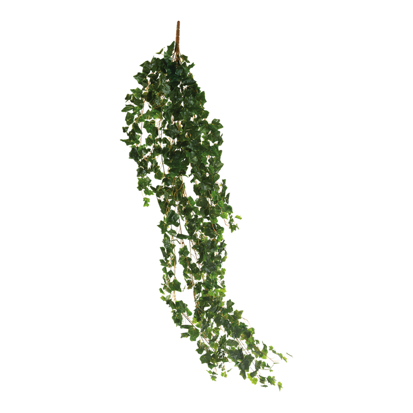 Murgröna ranka 160cm 13-sidig