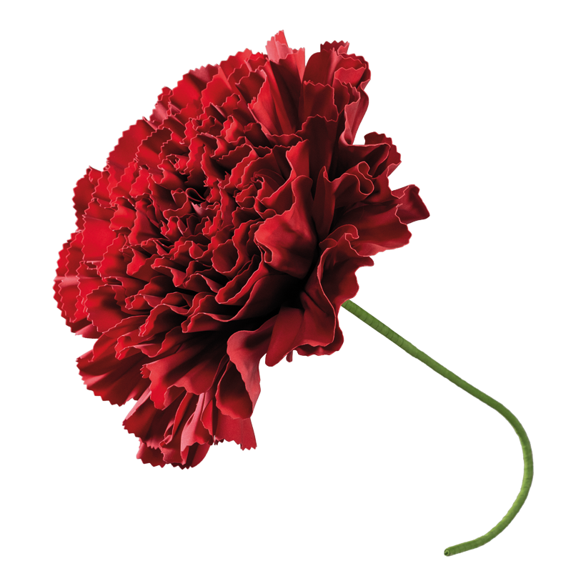 Blomhuvud "Paraply" 80cm Ø 60cm, Komplettlänge: 100cm av skum flexibel, med 40 cm skaft