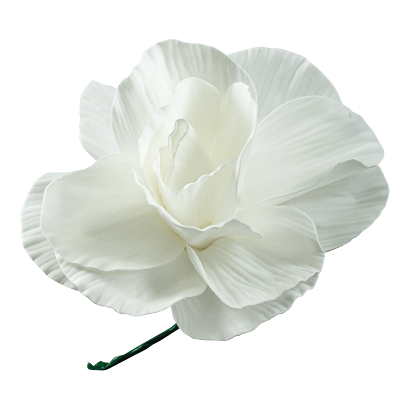 Pionros Ø 30cm Stiel: 18cm av skum kort skaft, flexibel