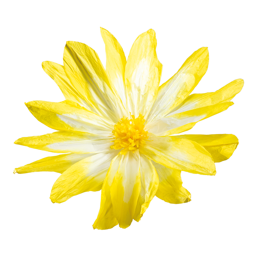 Blomhuvud Ø 120cm Stiel: 34cm av papper flexibel