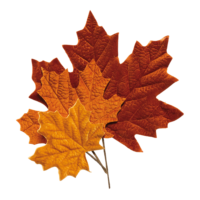 Lönnlöv, 1: 39x35cm Stiel:13,5cm, 2: 30x25cm Stiel:12,5cm, 3: 23x16cm Stiel: 10,5cm set om 3 st av sammet/papper, ensidig, flexibel