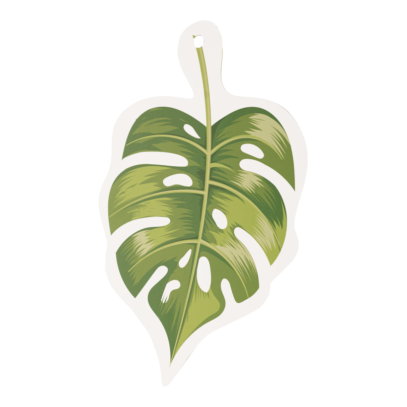 Filodendron löv, 34x22cm Dicke 1mm av akryl, med nylontråd