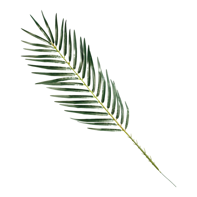 Phoenix palmblad 20x80cm, konstsilke