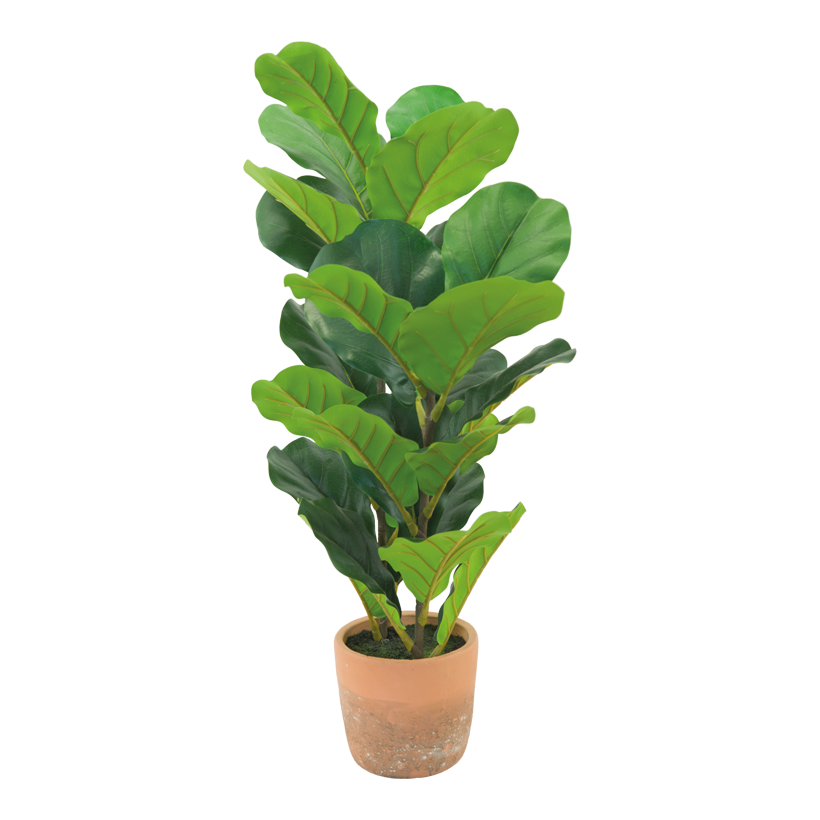 Fiolfikusträd H: 70cm i cementkruka med 26 blad, tyg & plast