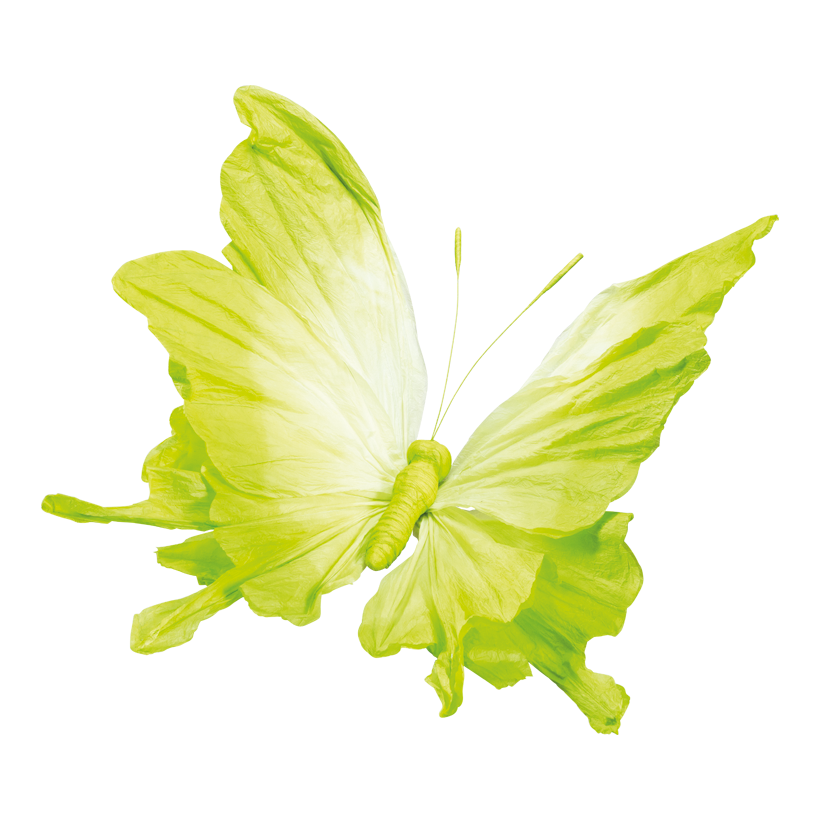 Fjäril 120x70cm Stiel: 36cm av papper flexibel