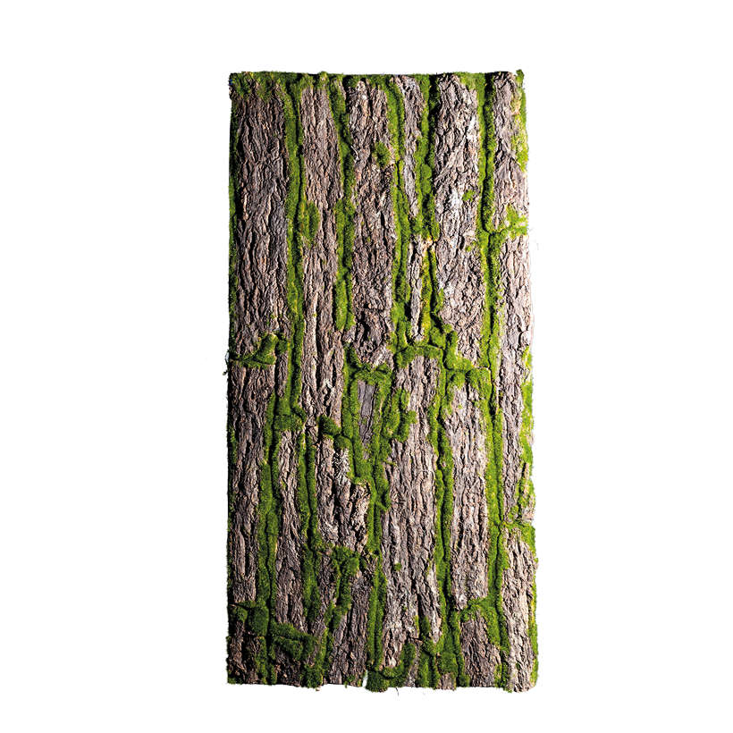 Barkpanel 100x50cm täckt med mossa med riktig bark