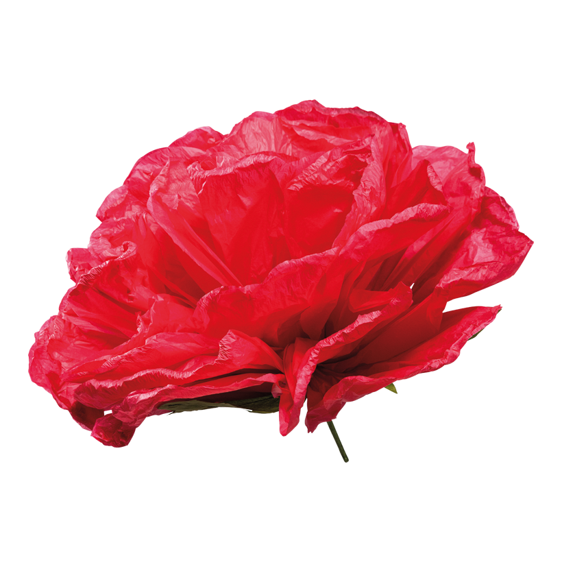 Roshuvud 60cm Stiel: 19cm av papper flexibel