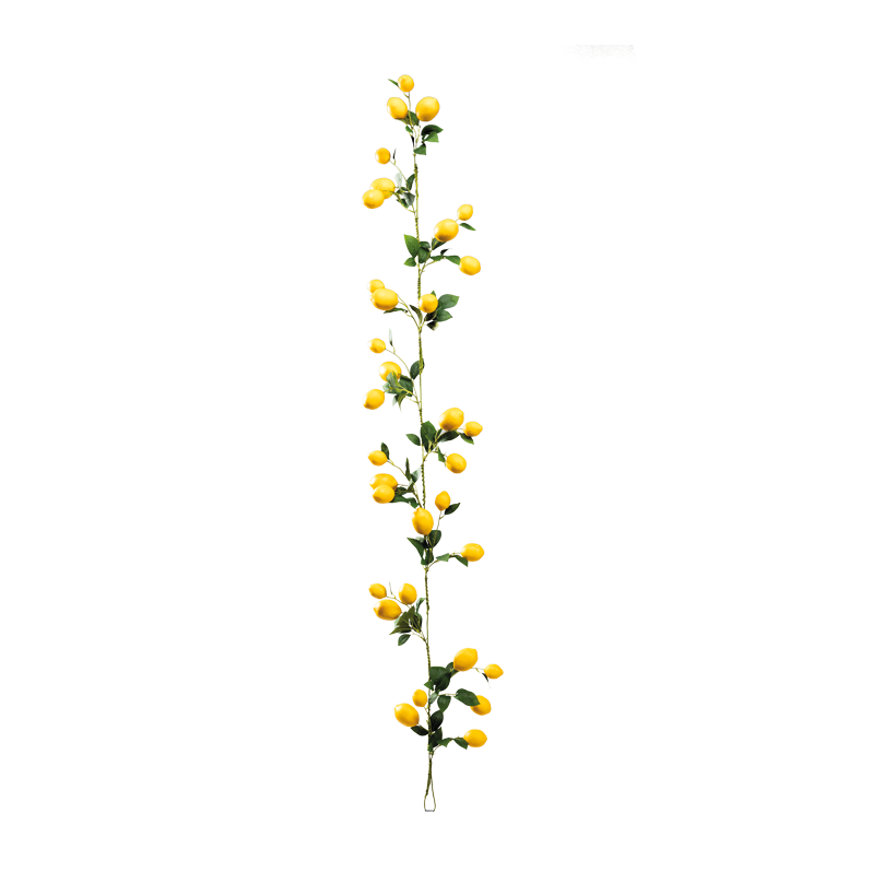 Citrongirlang 180cm Ø 4-6cm av plast för upphängning
