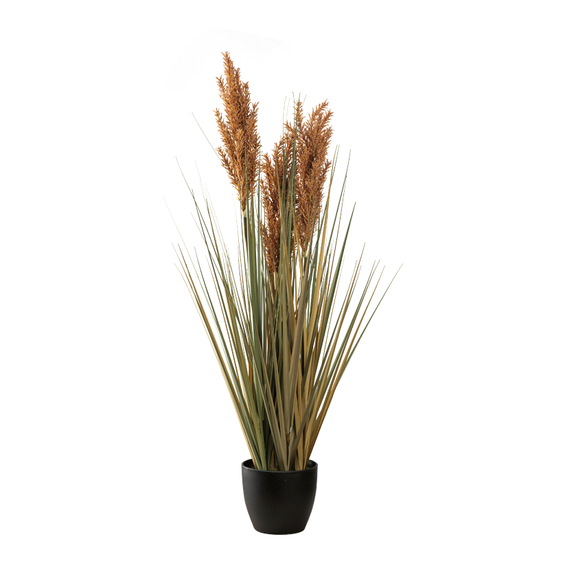 Vass i kruka, 90cm Topf: Ø 14,5cm av plast