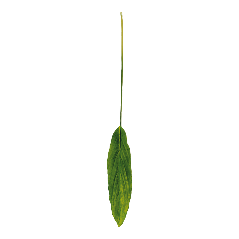 Dracaena blad 13cm breit, 100cm, med regndroppar konstsilke, på skaft