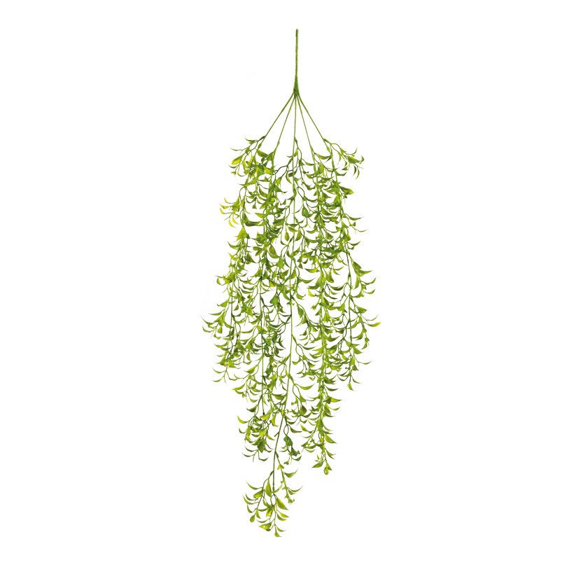 Ruscus aculeatus hänge, 90cm av plast