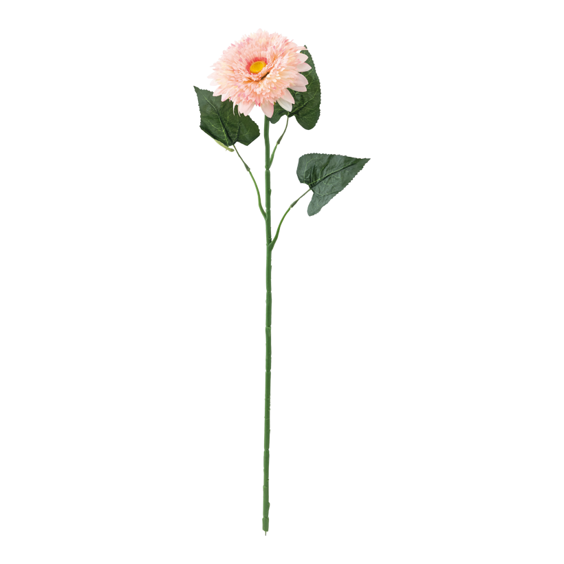 Prästkrage 78cm Ø 16cm, Stiel: 47cm av konstsilke/past flexibel