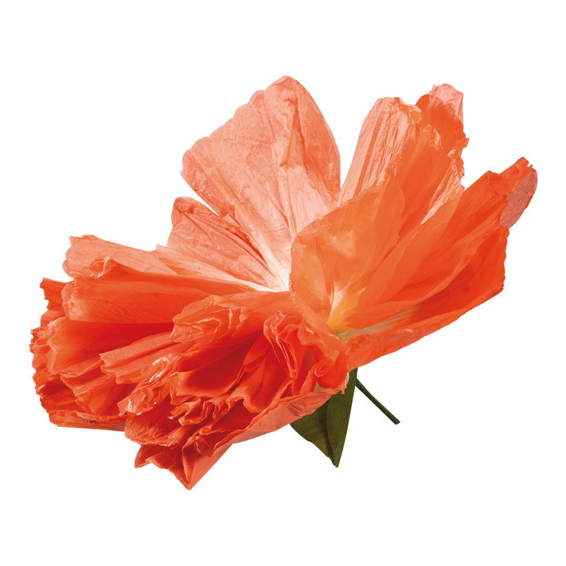 Blomhuvud Ø 60cm Stiel: 13cm av papper flexibel