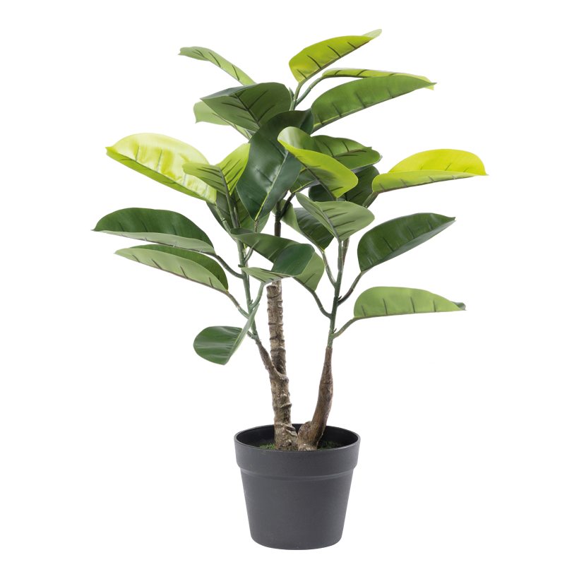 Fikus 70cm Topf: Ø 16cm 24 blad av plast/konstsilke