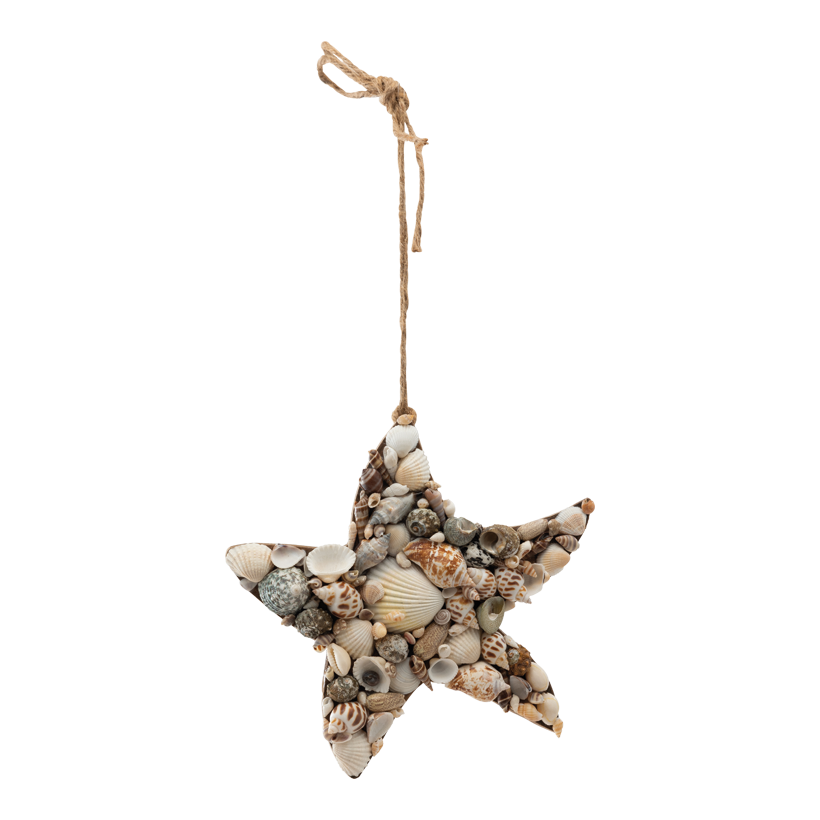 Sjöstjärna 20x2cm Hänger ca. 23cm ur MDF med riktiga skal
