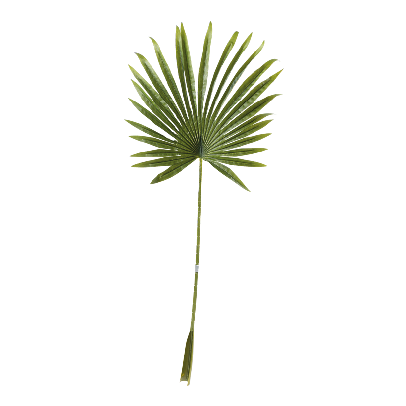 Palmblad 100x40cm Stiel: 62cm av plast