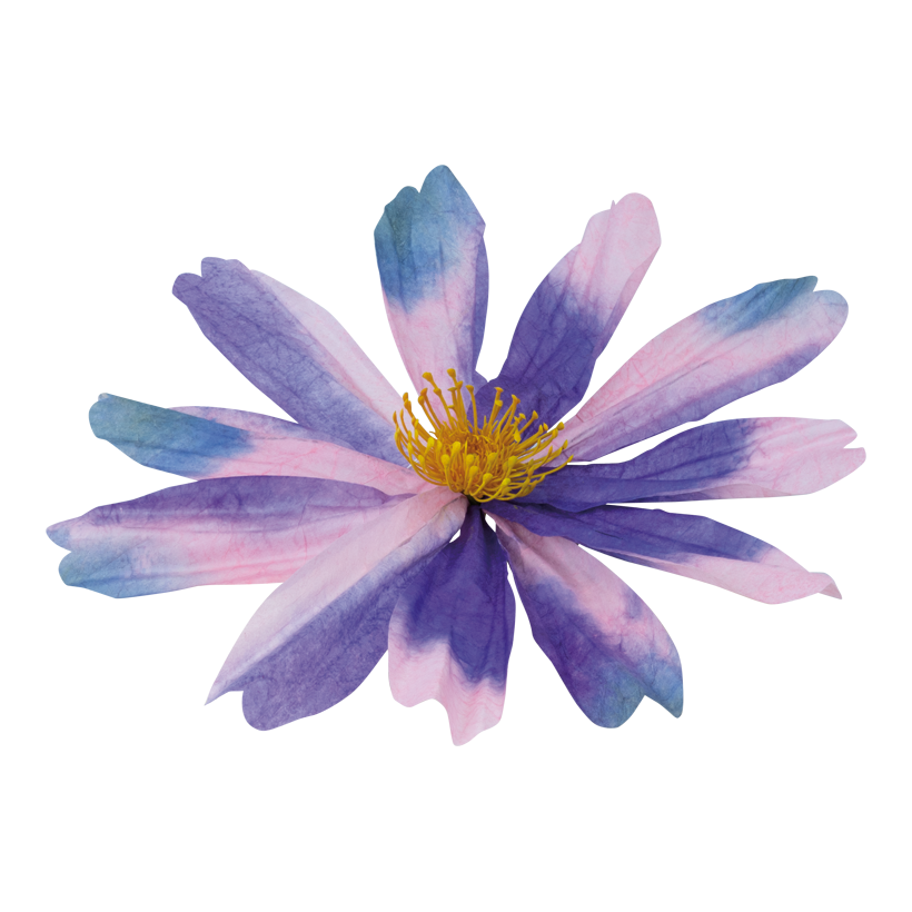 Cosmea blomhuvud Ø 40cm av papper med kort stjälk