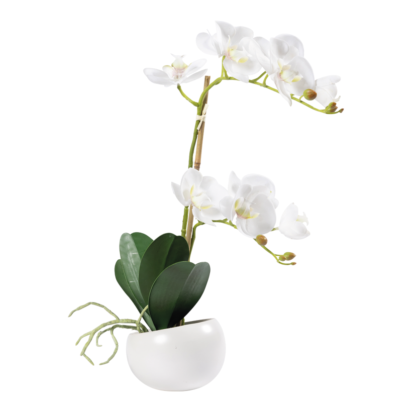 Orkidé i kruka 48cm Topf: Ø10cm av konstsilke/plast kruka ur keramik