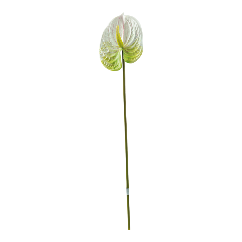 Flamingo flower, 63cm Stiel: 48cm out of plastic, flexible