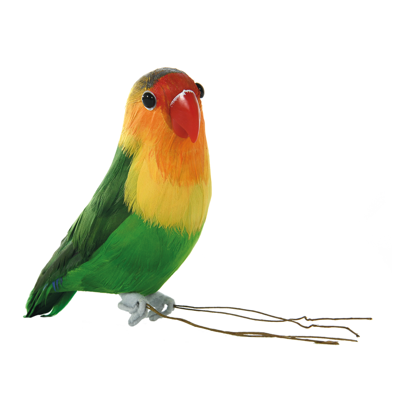 Papegoja 15x6x10cm frigolit med fjädrar