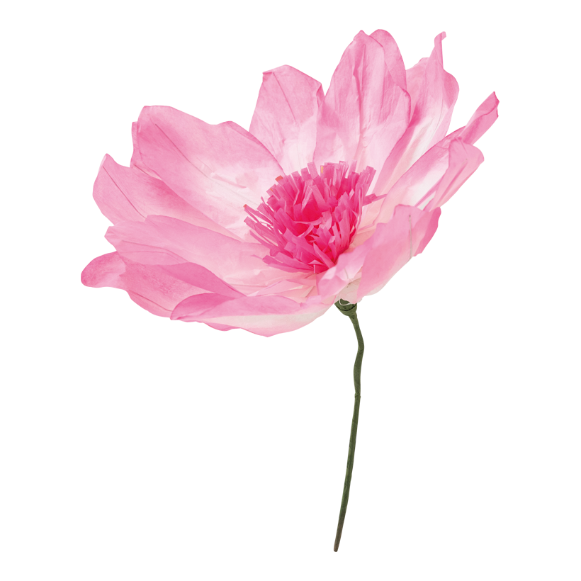 Blomhuvud Ø 30cm Stiel: 15cm av papper flexibel