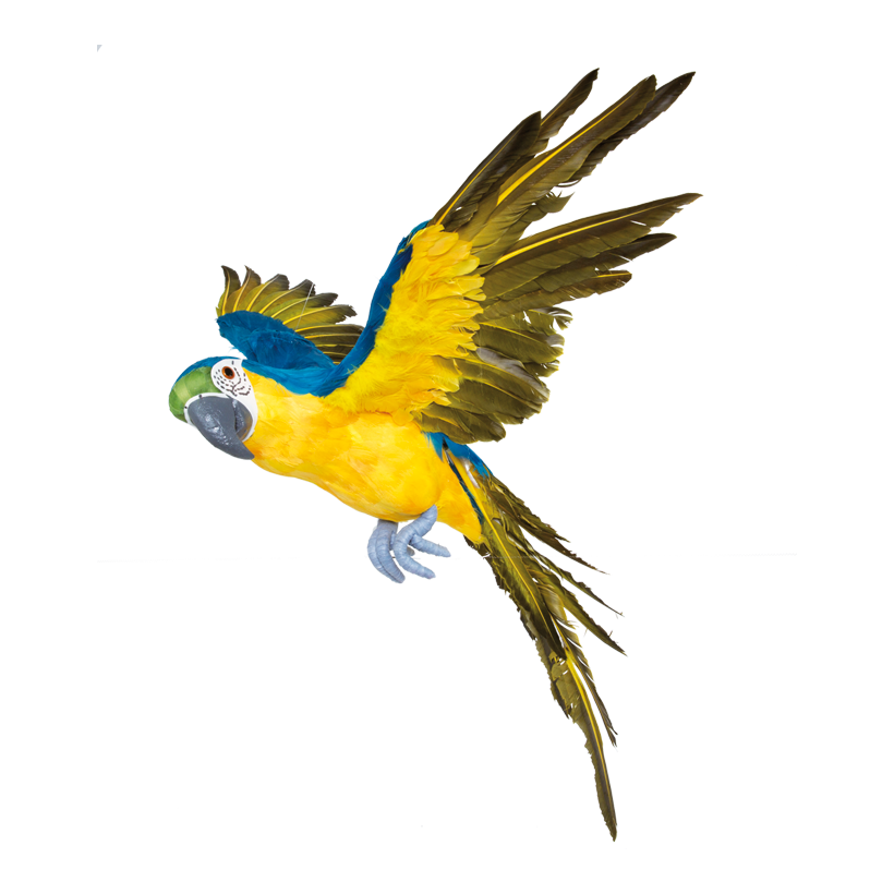Papegoja, flygande 73x76cm, frigolit med fjädrar