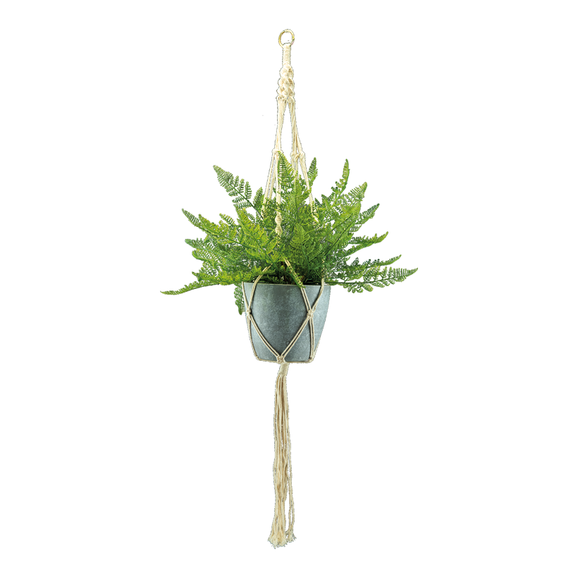 Ormbunke H: 90cm Ø 17cm i kruka med rephängare