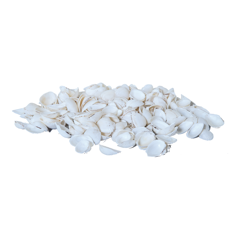 Snäckor i nät 2-3cm 300 g