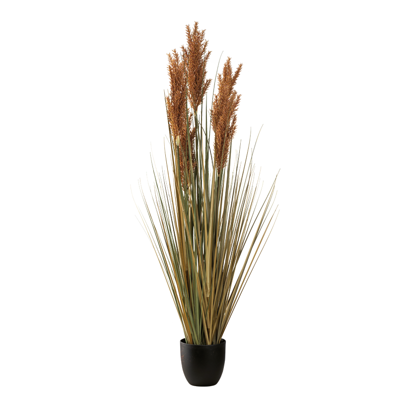 Vass i kruka, 122cm Topf: Ø 15,5cm av plast