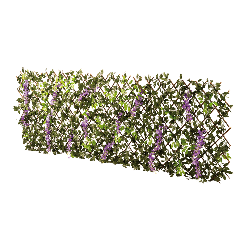 Staket med blåregn, 90x180cm Masche: 9x9cm av pilträ/konstsilke, utdragbar