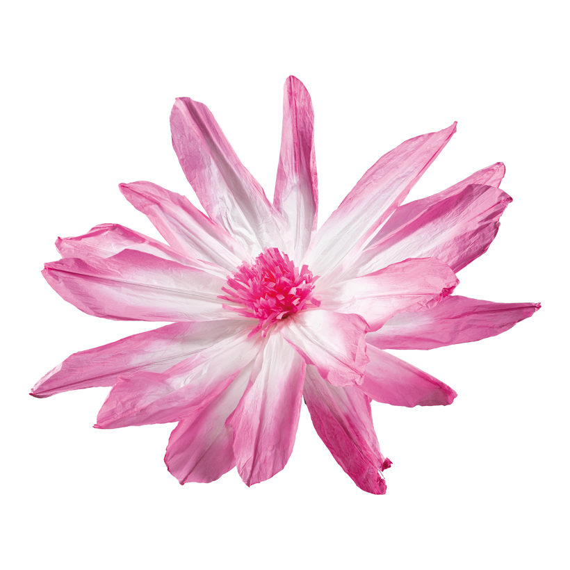 Blomhuvud Ø 120cm Stiel: 34cm av papper flexibel