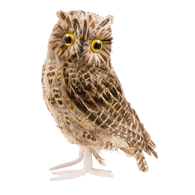 Uggla, 18x18cm, med fjädrar polyfoam