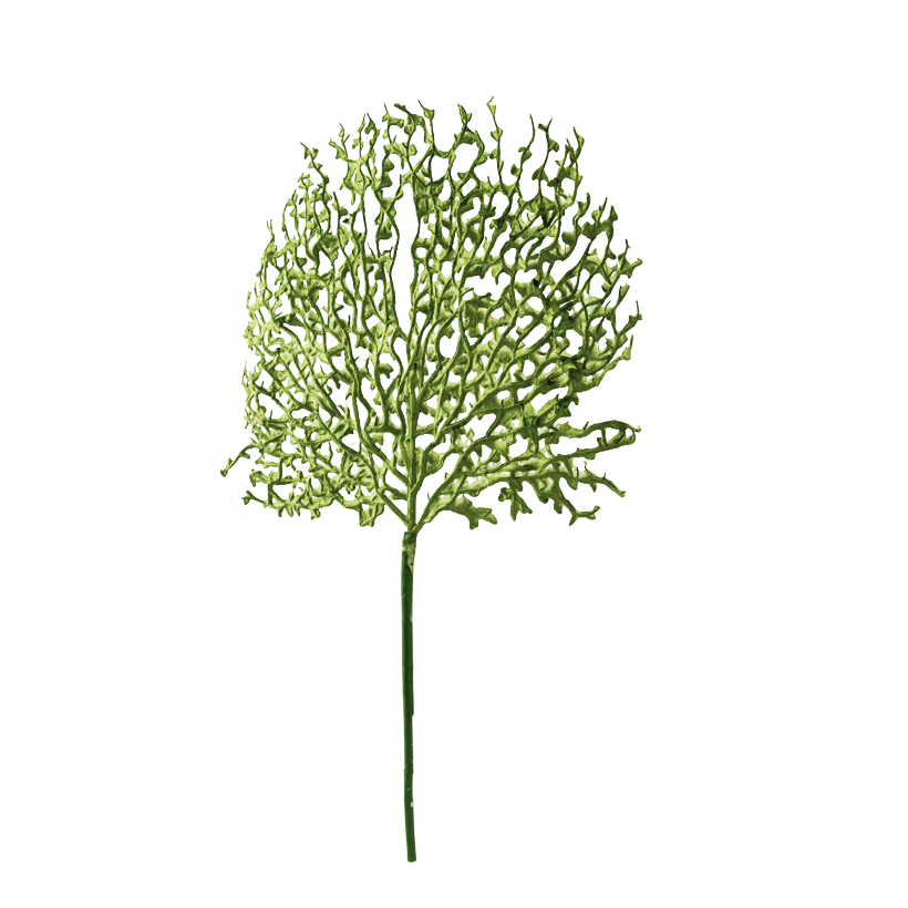 Korallgren, 58cm Ø 40cm, Stiel: 25cm av plast/papper, flexibel
