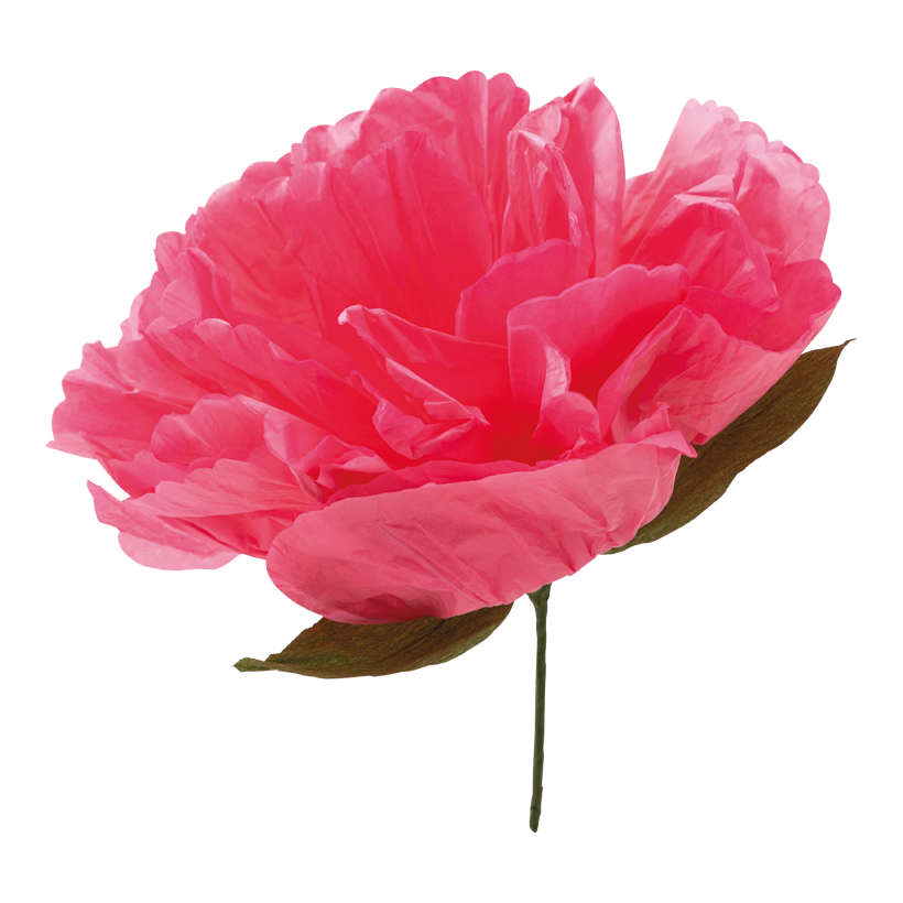 Blomhuvud Ø 35cm Stiel: 11cm av papper flexibel