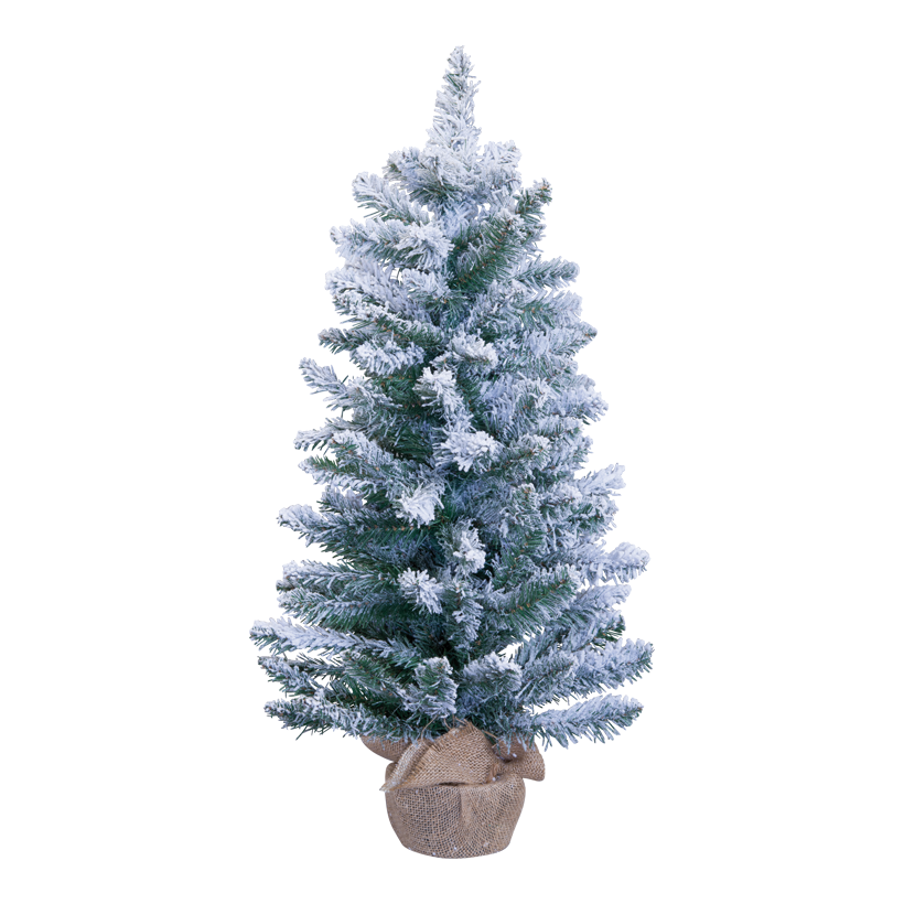 Noble fir tree, 75cm 121 tips, out of plastic, in jute bag, snowed