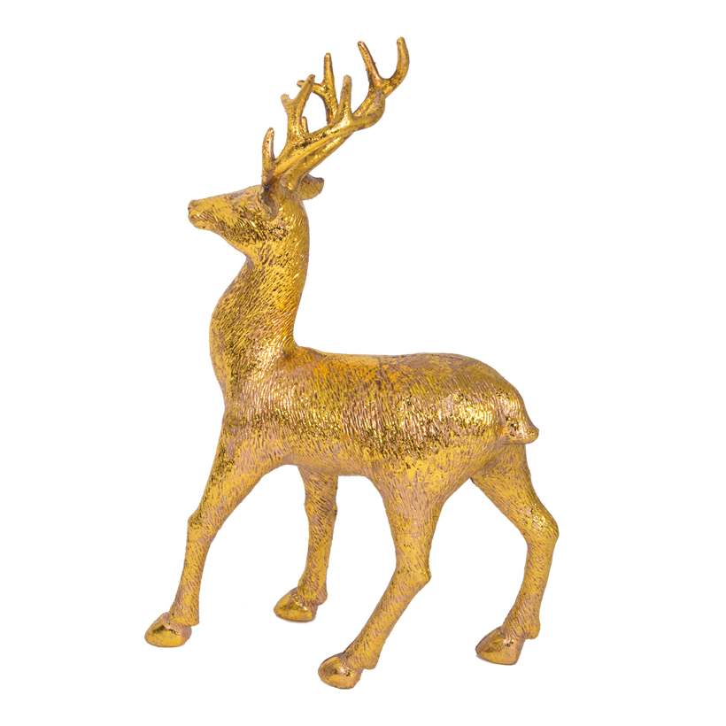 Ren, 20x35cm huvudet upp