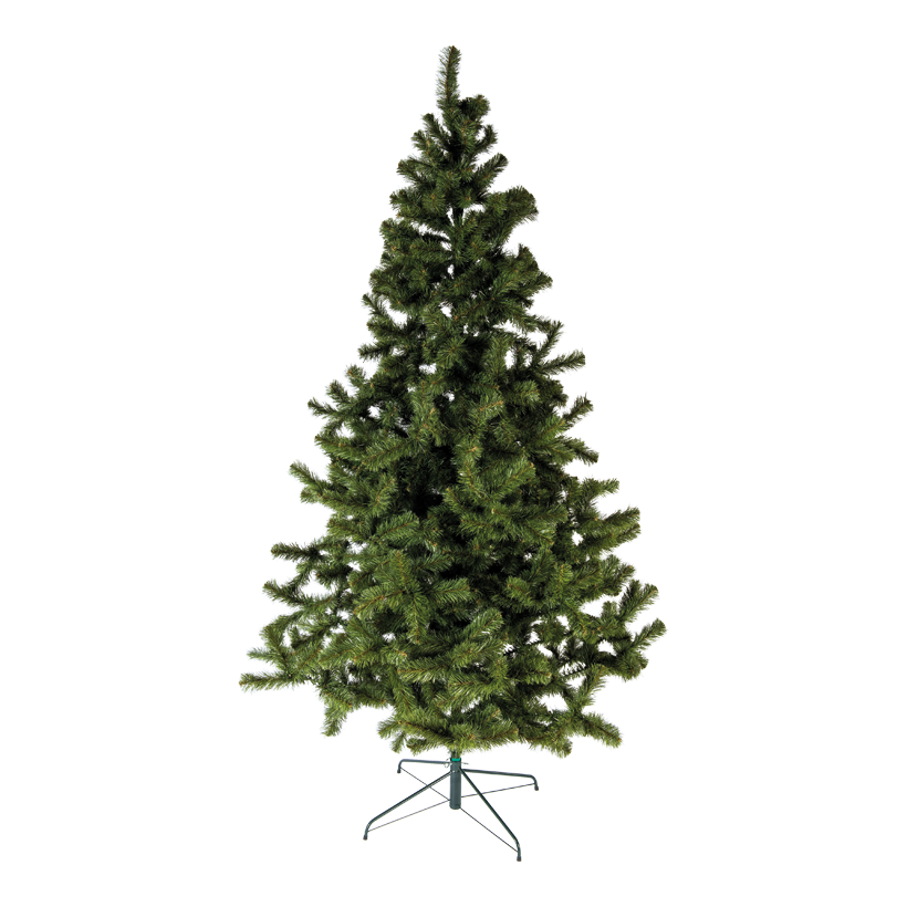 Gran på fot, 280cm 738 tips Ø 150-160 cm