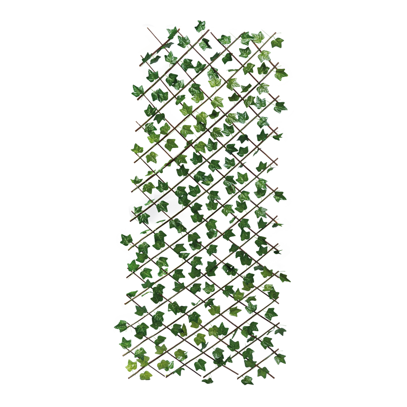 Staket med murgröna 120x200cm Masche: 13x13cm av pilträ/konstsilke
