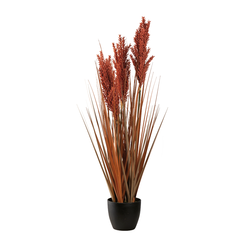 Vass i kruka, 90cm Topf: Ø 14,5cm av plast