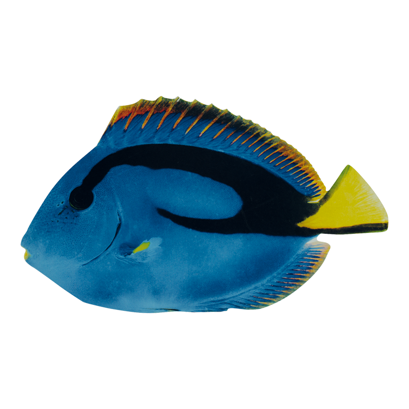 Tropisk fisk 20x12cm, tryckt dubbelsidigt trä, med hängare