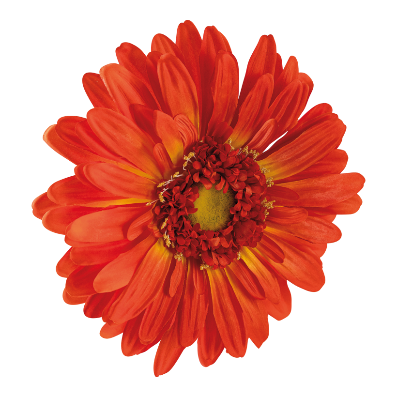 Gerbera blomhuvud Ø 30cm av konstsilke att hänga