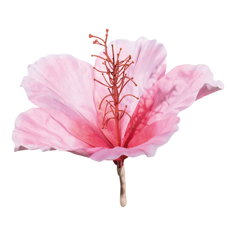 Hibiskus huvud, 30cm Stiel: 9cm av konstsilke