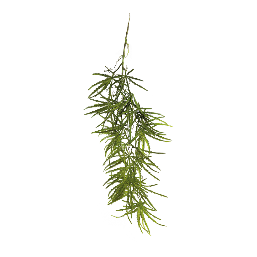 Ray aralia hänge 100cm av plast