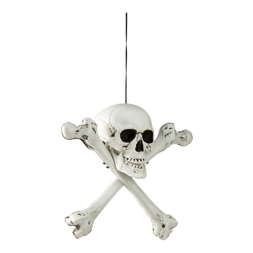 Dödskalle, 37x37x18cm av plast med hängare