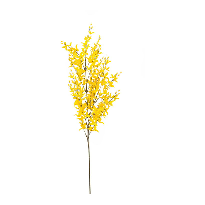 Forsythia kvist 80cm 12-sidig