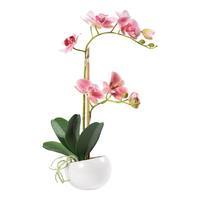 Orkidé i kruka 48cm Topf: Ø10cm av konstsilke/plast kruka ur keramik
