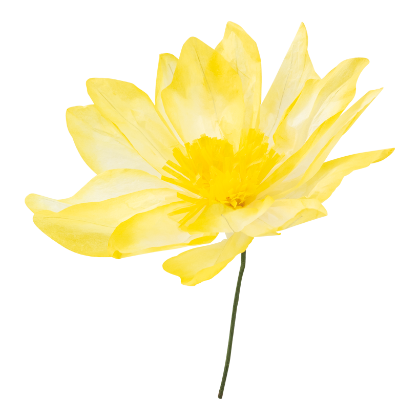 Blomhuvud Ø 30cm Stiel: 15cm av papper flexibel